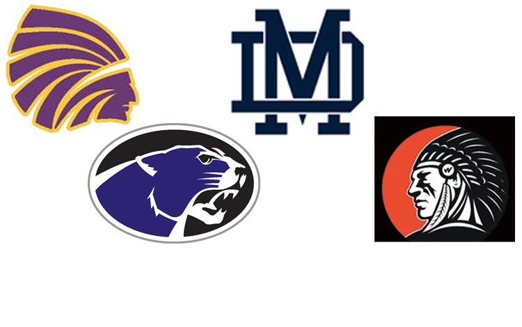 Clinton County to be represented by all four schools in the IHSA playoffs