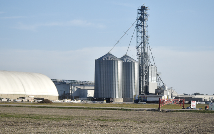 Bird flu outbreak claims more than 934,000 chickens in Clinton County