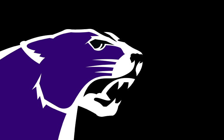 Central High School board approves tax levy