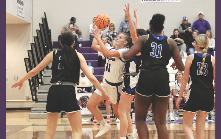 Lady Cougars fall to Nashville in the Mascoutah Tournament championship game